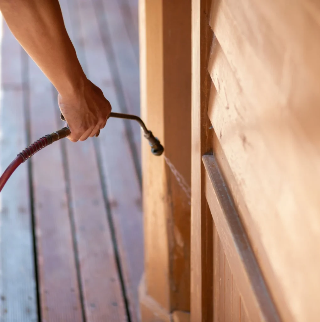 Trusted Pest Control - Saint Albans Pest Control Pros | Saint Albans, NY | 914-415-5488